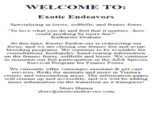 Tablet Screenshot of exoticendeavors.com